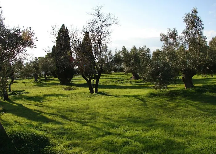 Heleni 别墅 沃里亚戈米尼湖